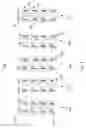 Fig. 05 - Layout effect characterization for integrated circuits