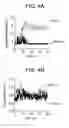 Fig. 08 - ATOMIC MODEL FOR JANUS KINASE-2 (JAK2) AND USES THEREOF