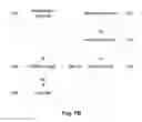 Fig. 03 - VALIDATING BIOMARKER MEASUREMENT