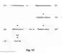 Fig. 04 - VALIDATING BIOMARKER MEASUREMENT
