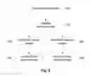 Fig. 07 - VALIDATING BIOMARKER MEASUREMENT