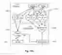 Fig. 13 - VALIDATING BIOMARKER MEASUREMENT