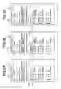 Fig. 06 - Radiographing apparatus, radiographing system, radiographing method, and program
