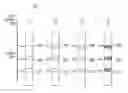 Fig. 01 - System and method for variable function mobile application for providing medical test results