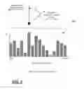 Fig. 05 - Image-based feature detection using edge vectors