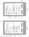 Fig. 06 - Managing privacy of information during shipments