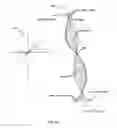 Fig. 06 - SYSTEM AND METHOD OF TRANSFORMING DIMENSIONAL-TRIAD-FRACTALS FROM INPUT DATA INTO PHYSICAL CONSCIOUS SOLUTIONS
