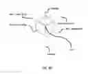 Fig. 07 - SYSTEM AND METHOD OF TRANSFORMING DIMENSIONAL-TRIAD-FRACTALS FROM INPUT DATA INTO PHYSICAL CONSCIOUS SOLUTIONS
