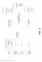 Fig. 09 - Data Label Distribution