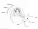 Fig. 01 - Producing panoramic radiograph