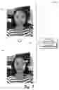 Fig. 09 - Object painting through use of perspectives or transfers in a digital medium environment