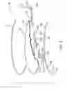 Fig. 04 - System and digital table for binding a mobile device to a position at the table for transactions