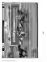 Fig. 08 - Simulating race events according to betting information