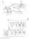 Fig. 05 - Context-based programmable safety rules for personal protective equipment