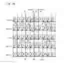 Fig. 22 - SHIFT REGISTER CIRCUIT, AND DISPLAY DEVICE INCLUDING SAME
