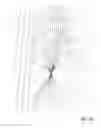 Fig. 13 - Dosage confirmation apparatus