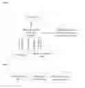 Fig. 04 - APPARATUS AND METHOD FOR ANALYZING NATURAL LANGUAGE MEDICAL TEXT AND GENERATING A MEDICAL KNOWLEDGE GRAPH REPRESENTING THE NATURAL LANGUAGE MEDICAL TEXT
