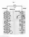 Fig. 12 - DOPED-CARBON NANO-ARCHITECTURED STRUCTURES AND METHODS FOR FABRICATING SAME