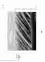 Fig. 09 - Image intensifier bloom mitigation