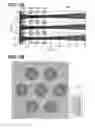 Fig. 08 - Ion beam irradiation apparatus and substrate processing apparatus