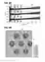 Fig. 09 - Ion beam irradiation apparatus and substrate processing apparatus