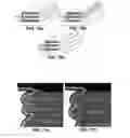 Fig. 06 - METHOD OF FORMING NANOWIRES