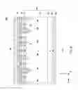 Fig. 09 - Semiconductor device