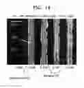 Fig. 15 - Thin-film solar cell module structure and method of manufacturing the same
