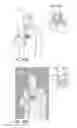Fig. 32 - Organic compound, light-emitting element, light-emitting device, electronic device, and lighting device