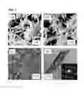 Fig. 09 - Cation energy storage device and methods