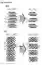 Fig. 13 - Two-dimensional, ordered, double transition metals carbides having a nominal unit cell composition M′M″X+1