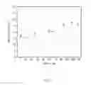 Fig. 05 - Apparatus and method for diagnosing state of fuel cell stack