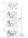 Fig. 02 - Electrolytes for lithium ion batteries