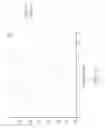 Fig. 07 - Radio frequency device