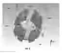 Fig. 09 - Integrated single-piece antenna feed and circular polarizer