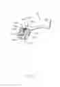 Fig. 07 - Card connector contact having a frame portion and a curved portion anchored to opposite front and rear of the frame portion