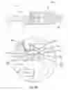 Fig. 41 - RJ communication connectors