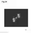 Fig. 40 - Semiconductor light emitting element