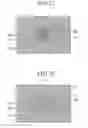 Fig. 15 - Laser diode and method of manufacturing laser diode