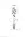 Fig. 09 - Ignition coil for internal combustion engine