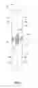 Fig. 10 - Stripping tool and method for stripping