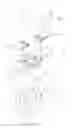 Fig. 06 - Electronic device