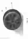 Fig. 05 - Brushless direct current motor with integrated fan