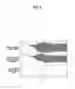 Fig. 06 - Low power crystal oscillation circuits