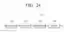 Fig. 25 - Transmitting apparatus and signal processing method thereof