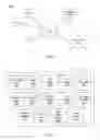 Fig. 02 - ASSIGNING A LEVEL OF TRUST BETWEEN ENTITIES IN AN ONLINE SYSTEM FOR DETERMING WHETHER TO PERMIT AN ACTION REQUESTED BY AN ENTITY