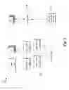 Fig. 02 - Timer management for session initiation protocol