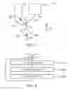 Fig. 05 - Service providing system, service providing device, and data constructing method