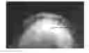 Fig. 01 - System and method for the visualization and characterization of objects in images