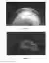 Fig. 08 - System and method for the visualization and characterization of objects in images